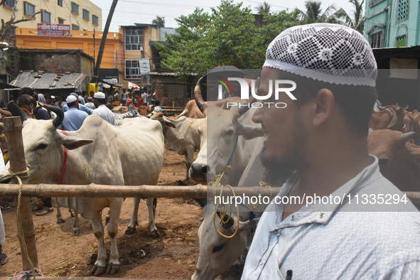 People are buying sacrificial animals from a cattle market on a hot summer day, ahead of Eid al-Adha celebrations on the outskirts of Kolkat...