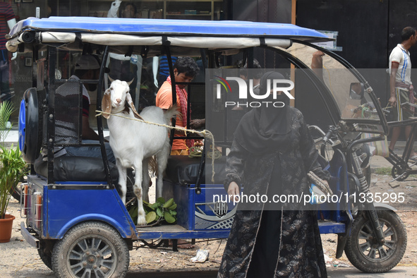 People are buying sacrificial animals from a cattle market, ahead of Eid al-Adha celebrations on the outskirts of Kolkata, India, on June 16...