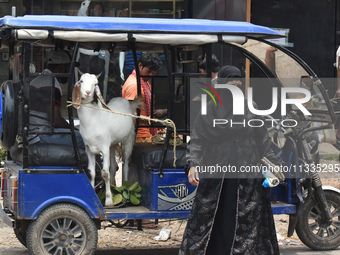 People are buying sacrificial animals from a cattle market, ahead of Eid al-Adha celebrations on the outskirts of Kolkata, India, on June 16...