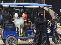 People are buying sacrificial animals from a cattle market, ahead of Eid al-Adha celebrations on the outskirts of Kolkata, India, on June 16...