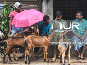 A person is holding an umbrella over a sacrificial goat on a hot summer day in a cattle market, ahead of Eid al-Adha celebrations on the out...