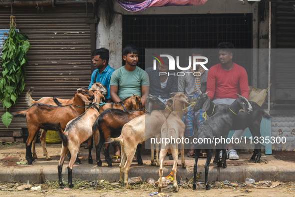 Goat traders are sitting beside their goats in a livestock market ahead of Eid-al-Adha celebrations on the outskirts of Kolkata, India, on J...