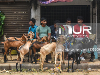 Goat traders are sitting beside their goats in a livestock market ahead of Eid-al-Adha celebrations on the outskirts of Kolkata, India, on J...