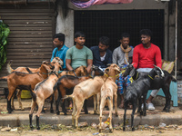 Goat traders are sitting beside their goats in a livestock market ahead of Eid-al-Adha celebrations on the outskirts of Kolkata, India, on J...