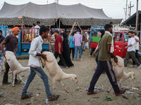 People are walking with their sacrificial sheep at a livestock market ahead of Eid ul Adha in Srinagar, Indian Administered Kashmir, on June...