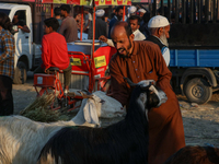 A trader is holding his goat at a livestock marketplace ahead of Eid ul Adha in Srinagar, Indian Administered Kashmir, on June 15, 2024. (