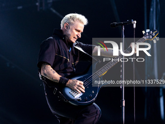 Mike Dirnt of Green Day is performing live in concert during the IDays Festival 2024 in Milano, Italy, on June 16, 2024 (