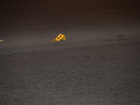 A shell casing is being located on the 4200 block of W. Roosevelt Road, Sunday evening. A 21-year-old male victim is being shot multiple tim...