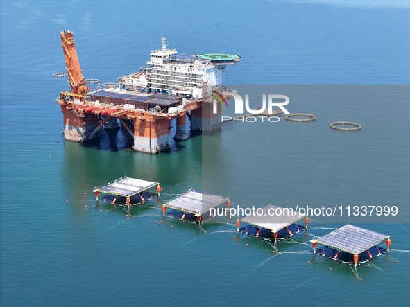 An offshore PV demonstration base and floating PV platform are operating in Yantai, China, on June 16, 2024. 