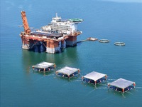 An offshore PV demonstration base and floating PV platform are operating in Yantai, China, on June 16, 2024. (