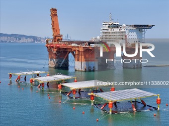 An offshore PV demonstration base and floating PV platform are operating in Yantai, China, on June 16, 2024. (