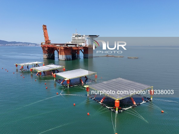 An offshore PV demonstration base and floating PV platform are operating in Yantai, China, on June 16, 2024. 