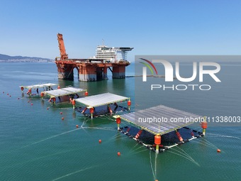 An offshore PV demonstration base and floating PV platform are operating in Yantai, China, on June 16, 2024. (