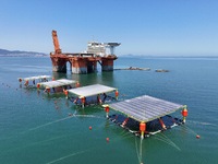 An offshore PV demonstration base and floating PV platform are operating in Yantai, China, on June 16, 2024. (