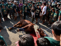 (EDITOR'S NOTE: Graphic content) Residents are watching the slaughtering of a cow during the Eid al-Adha celebration in the courtyard of the...