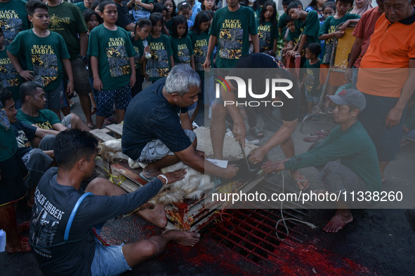 (EDITOR'S NOTE: Graphic content) Residents are watching the slaughtering of a goat during the Eid al-Adha celebration in the courtyard of th...