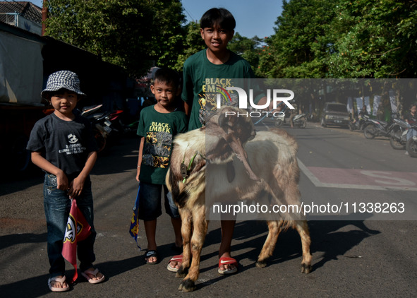 Children are posing with a goat, which is going to be slaughtered and distributed to the community during the Eid al-Adha celebration at the...