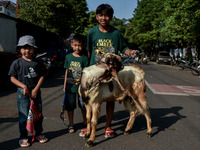 Children are posing with a goat, which is going to be slaughtered and distributed to the community during the Eid al-Adha celebration at the...