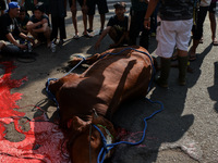 (EDITOR'S NOTE: Graphic content) Residents are watching the slaughtering of a cow during the Eid al-Adha celebration in the courtyard of the...