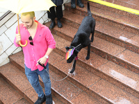 A man with a dog is going down the steps to an underground passage as he shields himself from the rain with an umbrella during the Equality...