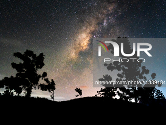 The Milky Way is being seen over the Tea Estate in Ratnapura, Sri Lanka, on June 17, 2024. The Milky Way is a huge collection of stars, dust...