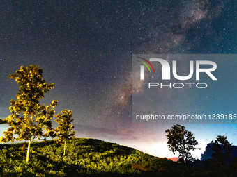 The Milky Way is being seen over the Tea Estate in Ratnapura, Sri Lanka, on June 17, 2024. The Milky Way is a huge collection of stars, dust...