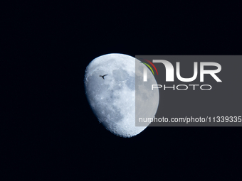 A swallow flying past the rising  waxing gibbous moon in Lecce, Italy, on June 17, 2024.  (