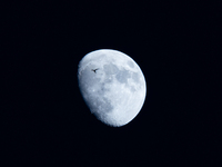 A swallow flying past the rising  waxing gibbous moon in Lecce, Italy, on June 17, 2024.  (