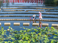 Citizens are bringing their children to play, fish, and catch lobsters at a wetland park in Suqian, Jiangsu province, China, on June 17, 202...