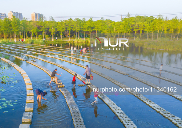 Citizens are bringing their children to play, fish, and catch lobsters at a wetland park in Suqian, Jiangsu province, China, on June 17, 202...