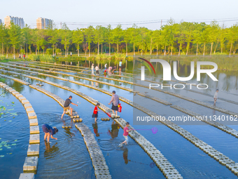 Citizens are bringing their children to play, fish, and catch lobsters at a wetland park in Suqian, Jiangsu province, China, on June 17, 202...