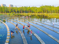 Citizens are bringing their children to play, fish, and catch lobsters at a wetland park in Suqian, Jiangsu province, China, on June 17, 202...