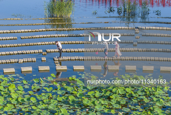 Citizens are bringing their children to play, fish, and catch lobsters at a wetland park in Suqian, Jiangsu province, China, on June 17, 202...