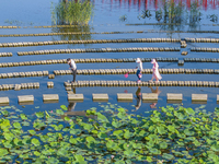 Citizens are bringing their children to play, fish, and catch lobsters at a wetland park in Suqian, Jiangsu province, China, on June 17, 202...