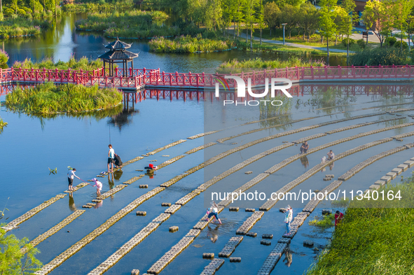 Citizens are bringing their children to play, fish, and catch lobsters at a wetland park in Suqian, Jiangsu province, China, on June 17, 202...