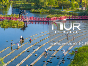 Citizens are bringing their children to play, fish, and catch lobsters at a wetland park in Suqian, Jiangsu province, China, on June 17, 202...