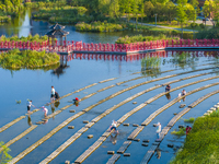 Citizens are bringing their children to play, fish, and catch lobsters at a wetland park in Suqian, Jiangsu province, China, on June 17, 202...