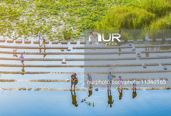 Citizens are bringing their children to play, fish, and catch lobsters at a wetland park in Suqian, Jiangsu province, China, on June 17, 202...