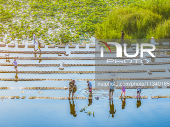 Citizens are bringing their children to play, fish, and catch lobsters at a wetland park in Suqian, Jiangsu province, China, on June 17, 202...