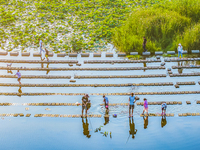 Citizens are bringing their children to play, fish, and catch lobsters at a wetland park in Suqian, Jiangsu province, China, on June 17, 202...