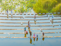 Citizens are bringing their children to play, fish, and catch lobsters at a wetland park in Suqian, Jiangsu province, China, on June 17, 202...