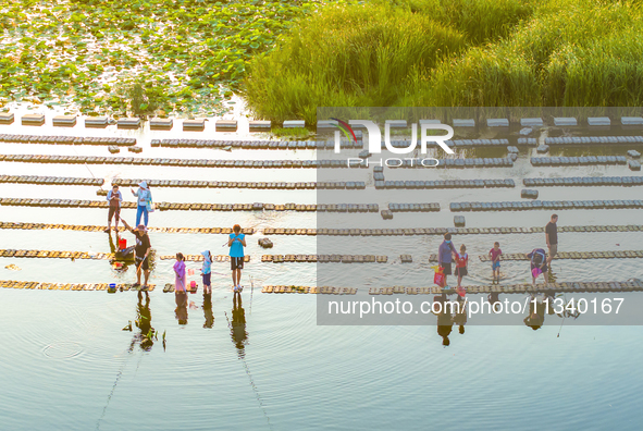 Citizens are bringing their children to play, fish, and catch lobsters at a wetland park in Suqian, Jiangsu province, China, on June 17, 202...