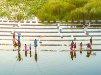 Citizens are bringing their children to play, fish, and catch lobsters at a wetland park in Suqian, Jiangsu province, China, on June 17, 202...