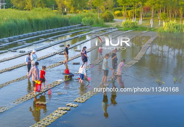 Citizens are bringing their children to play, fish, and catch lobsters at a wetland park in Suqian, Jiangsu province, China, on June 17, 202...