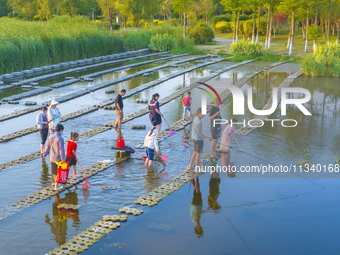 Citizens are bringing their children to play, fish, and catch lobsters at a wetland park in Suqian, Jiangsu province, China, on June 17, 202...