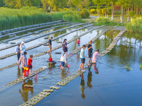 Citizens are bringing their children to play, fish, and catch lobsters at a wetland park in Suqian, Jiangsu province, China, on June 17, 202...