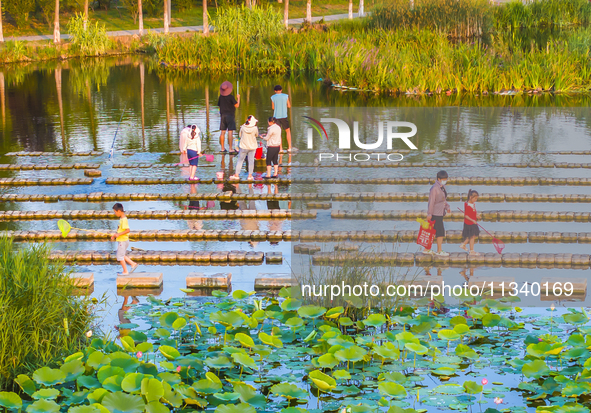 Citizens are bringing their children to play, fish, and catch lobsters at a wetland park in Suqian, Jiangsu province, China, on June 17, 202...