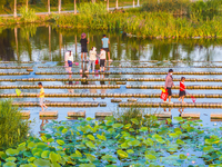 Citizens are bringing their children to play, fish, and catch lobsters at a wetland park in Suqian, Jiangsu province, China, on June 17, 202...