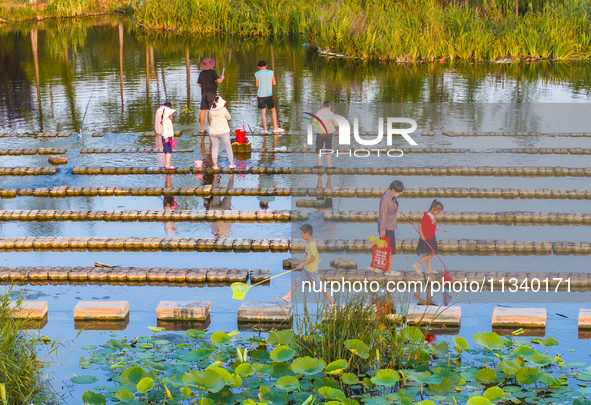 Citizens are bringing their children to play, fish, and catch lobsters at a wetland park in Suqian, Jiangsu province, China, on June 17, 202...