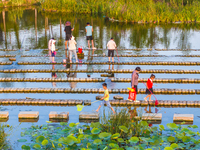 Citizens are bringing their children to play, fish, and catch lobsters at a wetland park in Suqian, Jiangsu province, China, on June 17, 202...